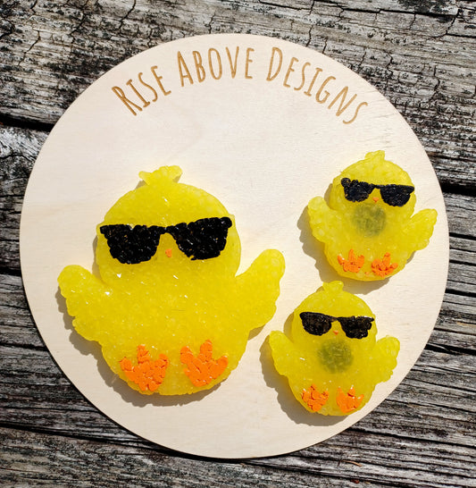 Cool Chick Freshie Set