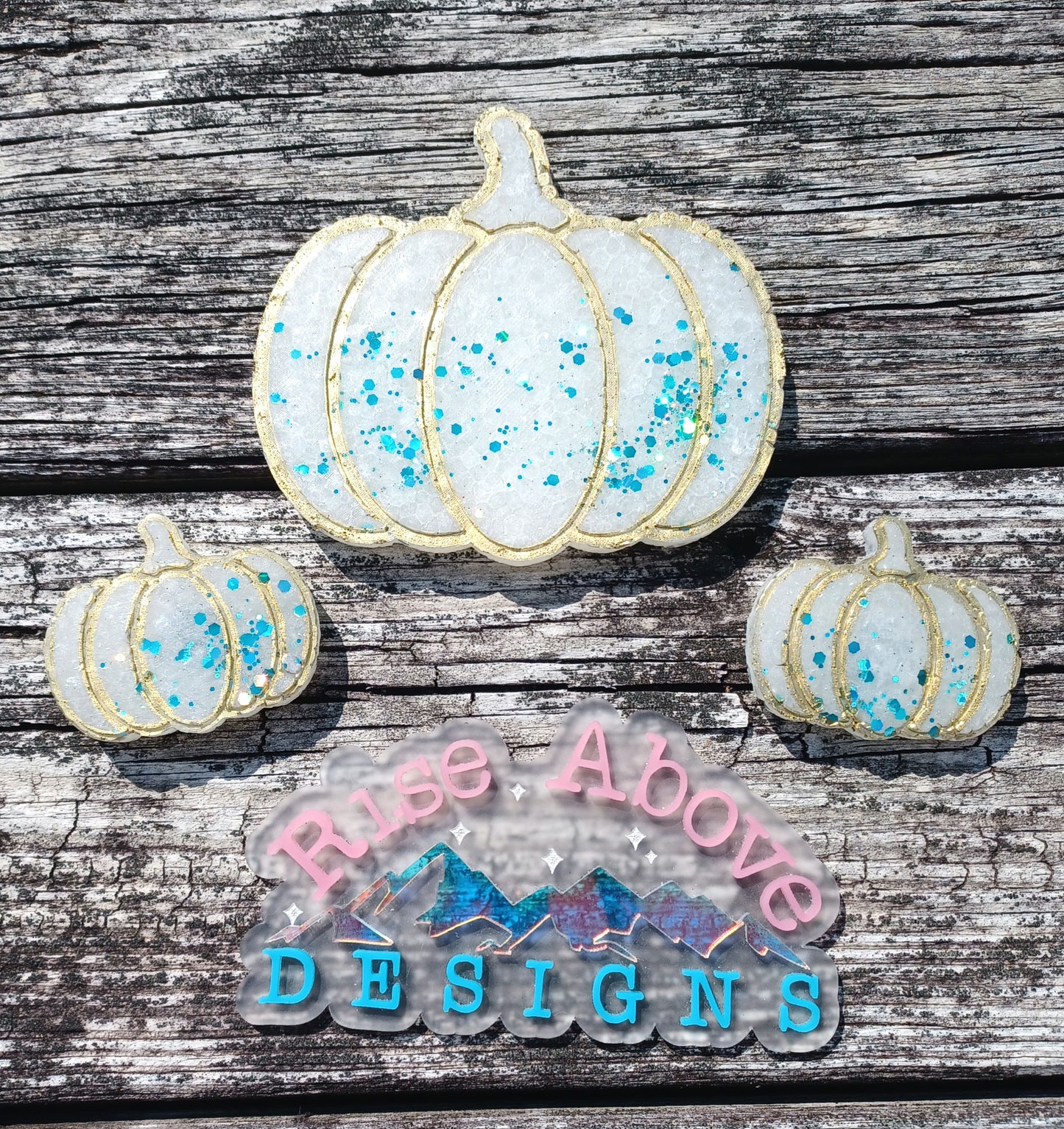 Pumpkin Freshie Set