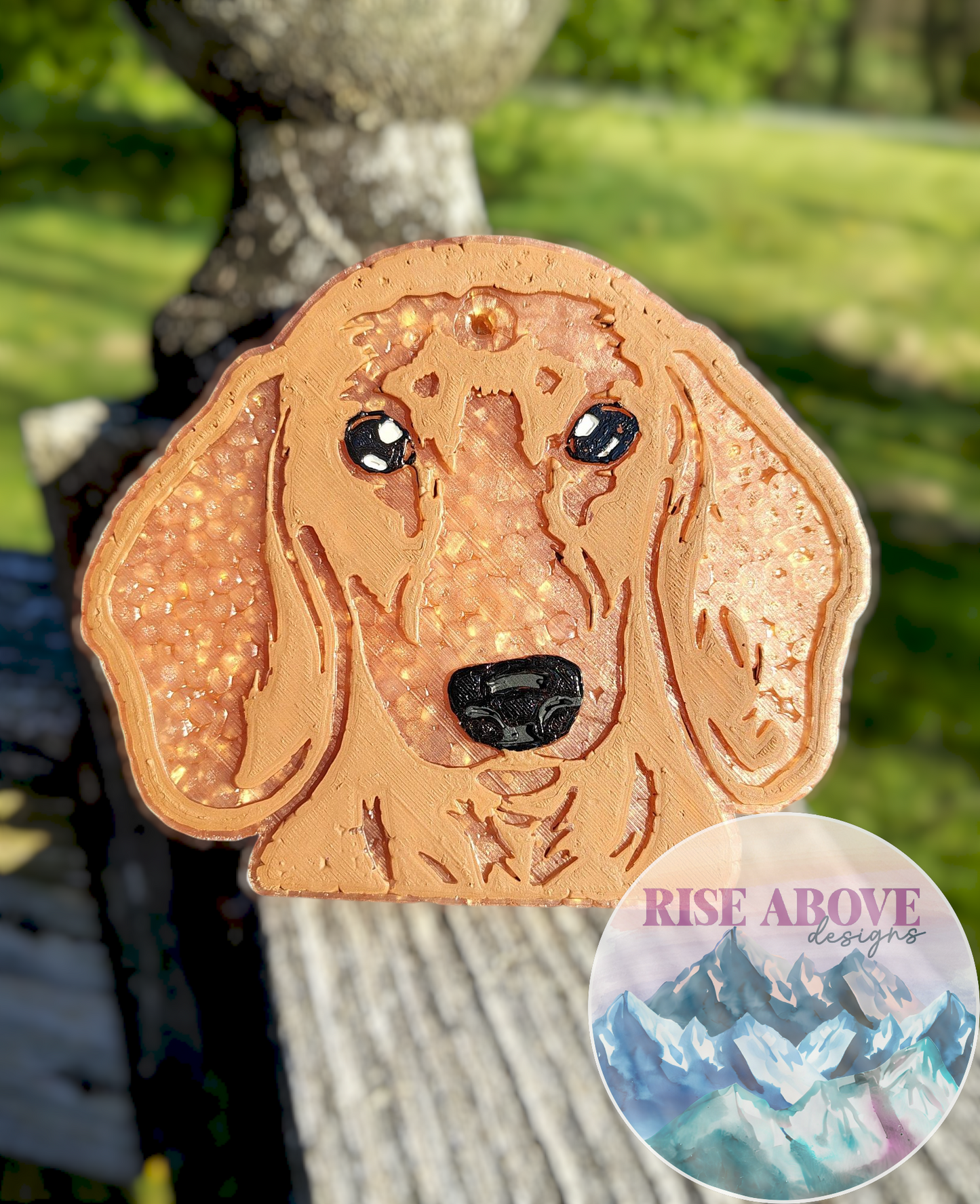 Dachshund Dog Breed Freshie
