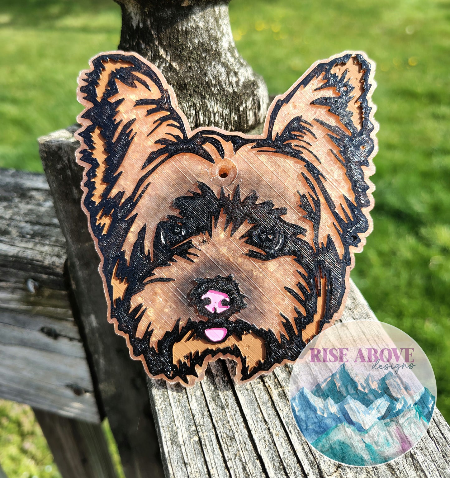 Yorkie Dog Breed Freshie