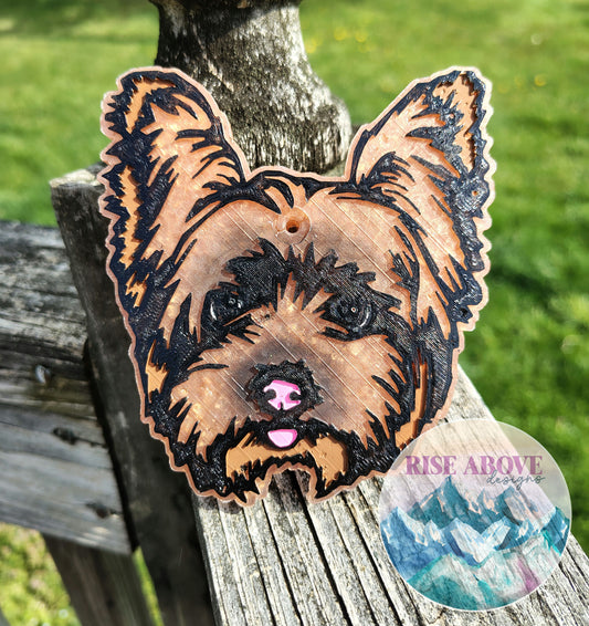 Yorkie Dog Breed Freshie