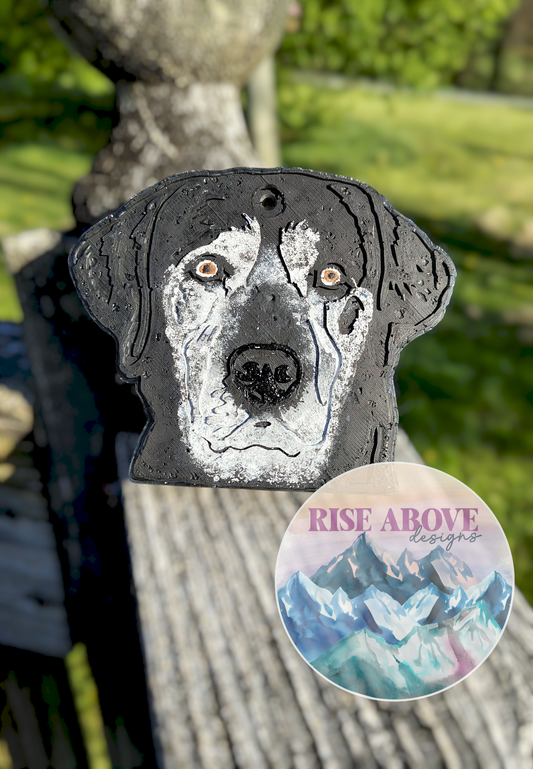 Labrador Dog Breed Freshie