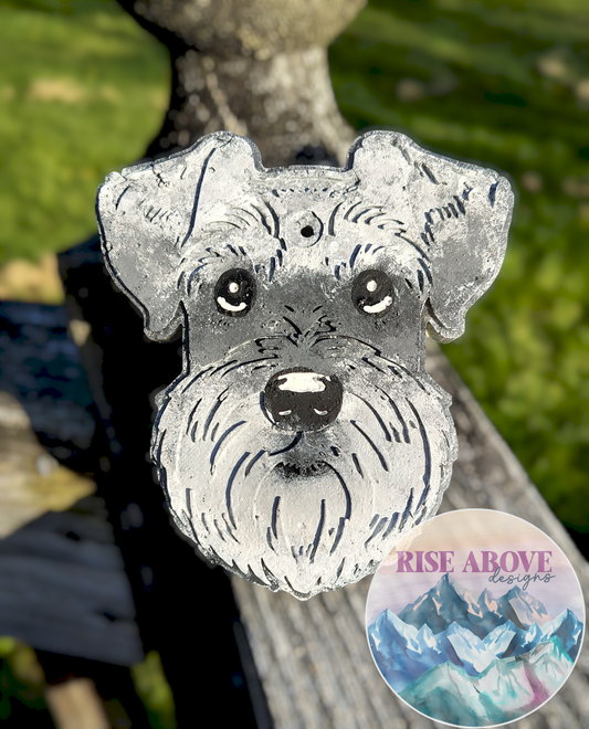 Schnauzer Dog Breed Freshie