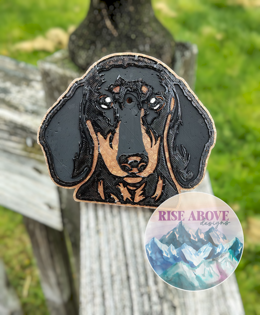 Dachshund Dog Breed Freshie