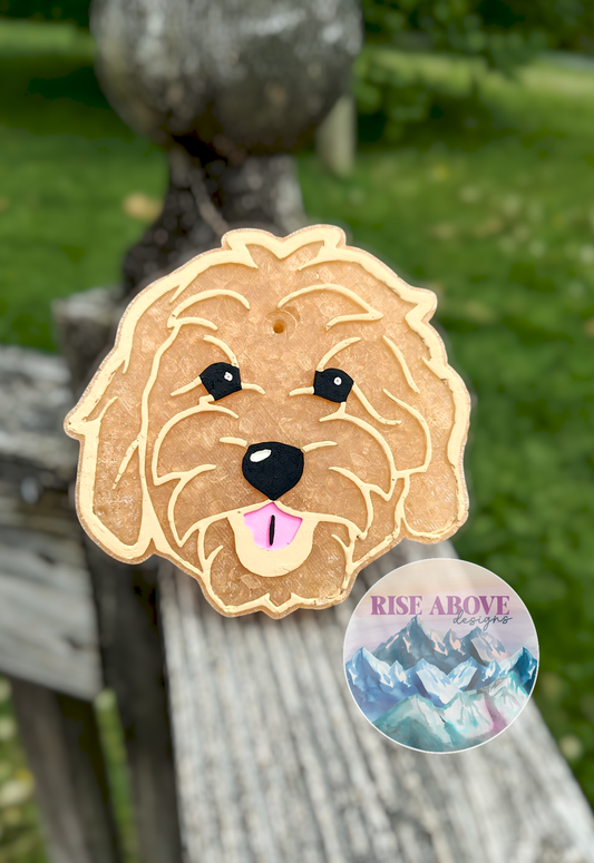 Doodle Dog Breed Freshie